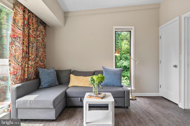 308 Forbes St Unit P, Annapolis, MD 21401 - living room with wood finished floors