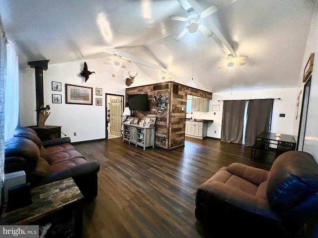 4650 Dywer Ave, Millville, NJ 08332 - living area with a wood stove, ceiling fan, lofted ceiling, and dark wood finished floors