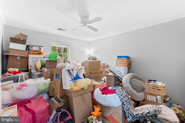 17391 Arrowood Pl, Round Hill, VA 20141 - storage featuring ceiling fan