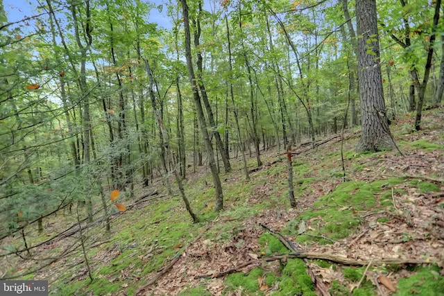 00 Seven Stars Rd, Millerstown, PA 17062