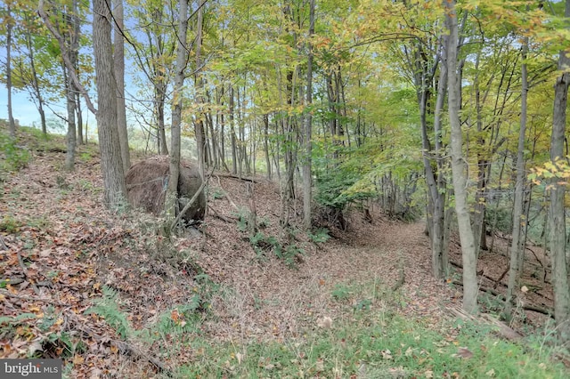 00 Seven Stars Rd, Millerstown, PA 17062