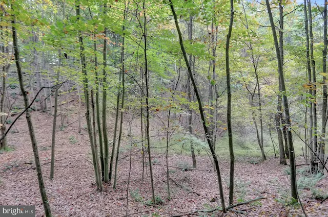 00 Seven Stars Rd, Millerstown, PA 17062