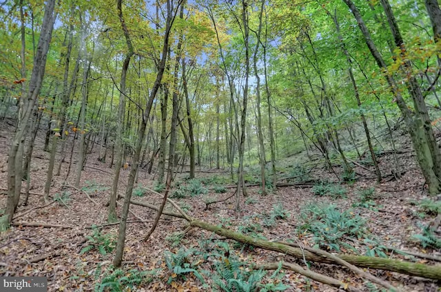 00 Seven Stars Rd, Millerstown, PA 17062