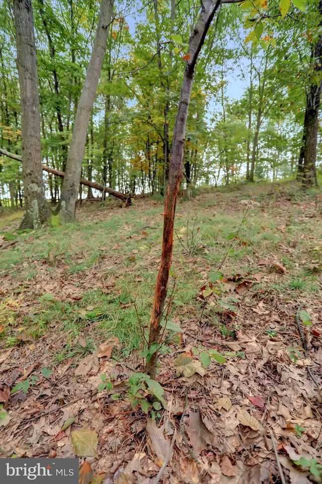 00 Seven Stars Rd, Millerstown, PA 17062