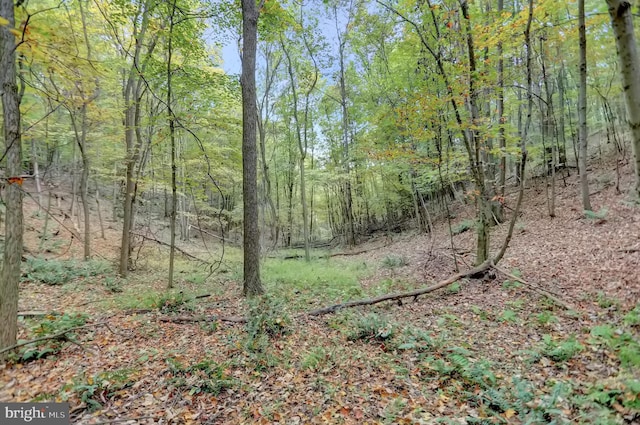 00 Seven Stars Rd, Millerstown, PA 17062