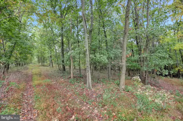 00 Seven Stars Rd, Millerstown, PA 17062