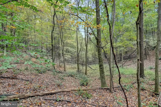 00 Seven Stars Rd, Millerstown, PA 17062