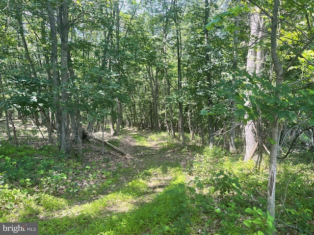 00 Seven Stars Rd, Millerstown, PA 17062