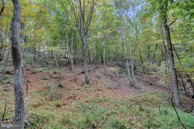 00 Seven Stars Rd, Millerstown, PA 17062