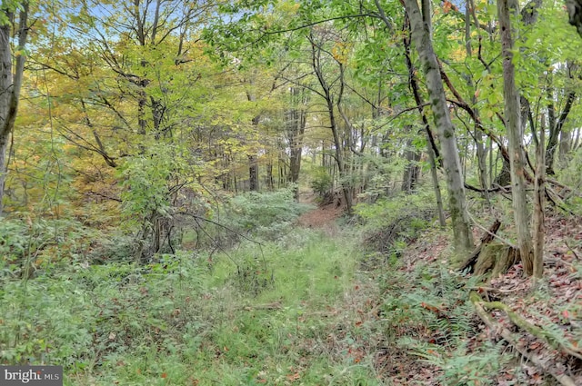 00 Seven Stars Rd, Millerstown, PA 17062