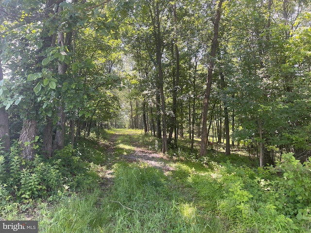 00 Seven Stars Rd, Millerstown, PA 17062