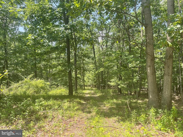 00 Seven Stars Rd, Millerstown, PA 17062
