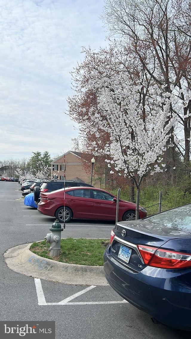 5715 Brewer House Cir Unit 301, North Bethesda, MD 20852 - view of uncovered parking lot