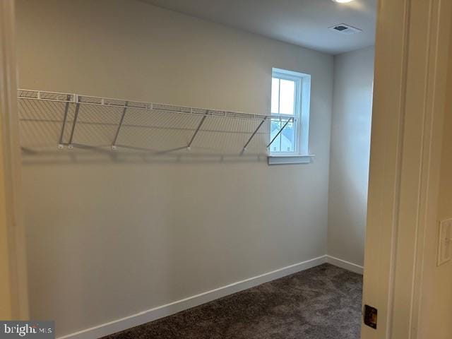 1142 Mariwill Dr, Quakertown, PA 18951 - spacious closet featuring dark colored carpet