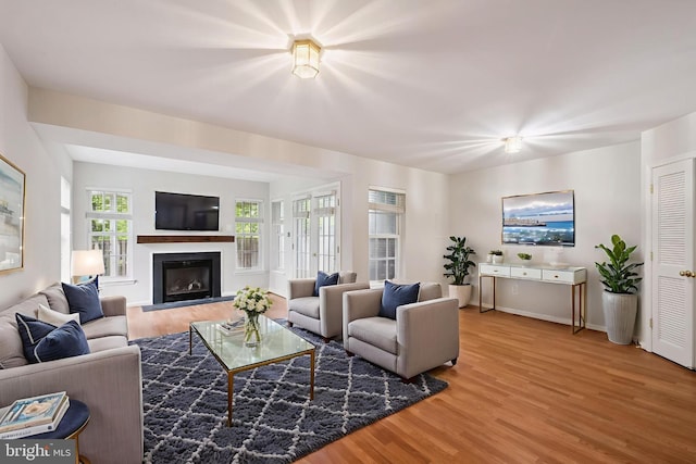 14608 Turara Ct, Haymarket, VA 20169 - living area with wood finished floors and a glass covered fireplace