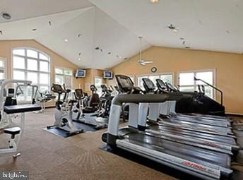 14608 Turara Ct, Haymarket, VA 20169 - workout area with plenty of natural light, lofted ceiling, and carpet flooring