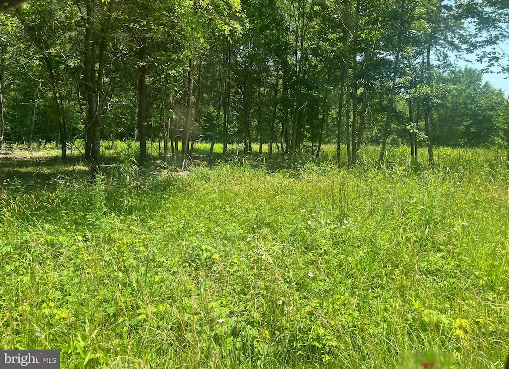 LOT2 Kentucky Springs Rd, Bumpass, VA 23024