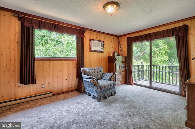 312 Skyline Dr, Reading, PA 19606 - sitting room with a textured ceiling, a wall unit AC, healthy amount of natural light, wooden walls, and carpet flooring