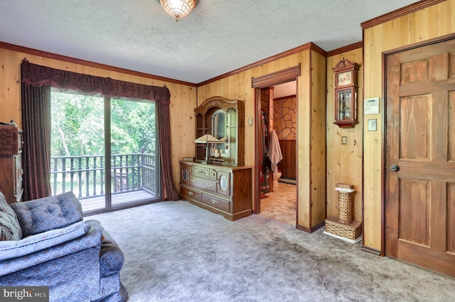 312 Skyline Dr, Reading, PA 19606 - living area with crown molding, wooden walls, carpet, and a textured ceiling