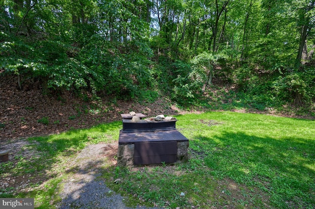 312 Skyline Dr, Reading, PA 19606 - view of green lawn