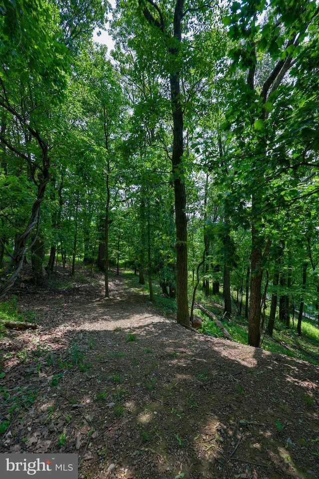 312 Skyline Dr, Reading, PA 19606 - view of nature