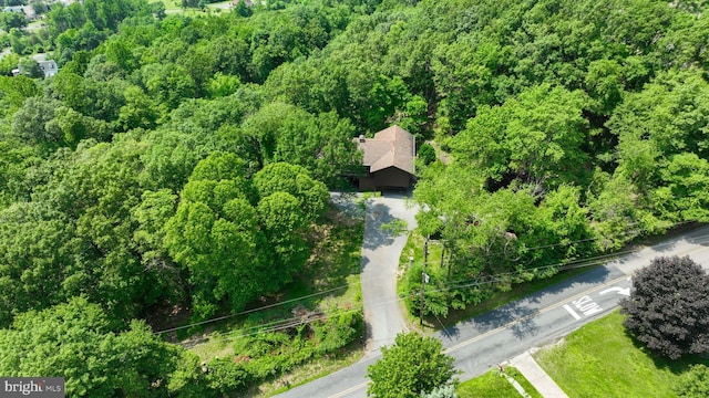 312 Skyline Dr, Reading, PA 19606 - aerial view of a forest