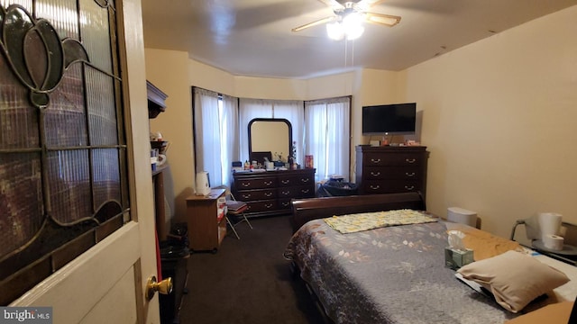5642 Cedar Ave, Philadelphia, PA 19143 - bedroom with carpet floors and a ceiling fan