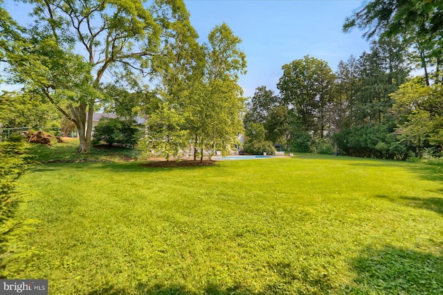 1304 Summit Dr, Bellefonte, PA 16823 - view of grassy yard featuring an outdoor pool and view of scattered trees