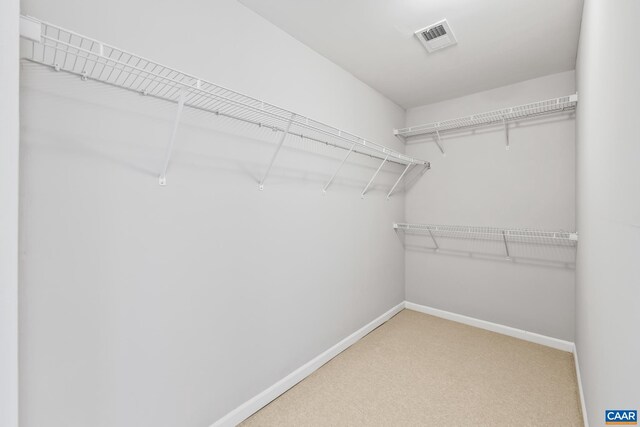 917 Bing Ln, Charlottesville, VA 22903 - spacious closet with carpet floors