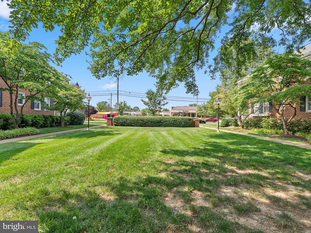 1515 Belle View Blvd Unit A1, Alexandria, VA 22307 - view of grassy yard