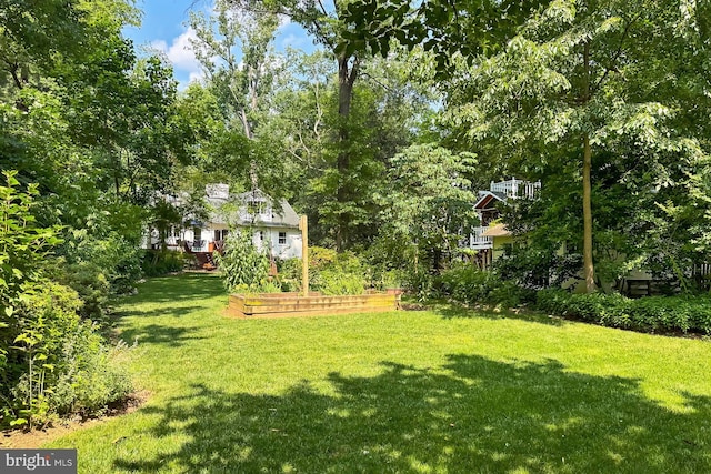 3132 Holmes Run Rd, Falls Church, VA 22042 - view of green lawn featuring a garden