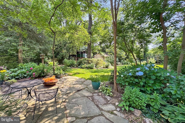 3132 Holmes Run Rd, Falls Church, VA 22042 - view of patio / terrace