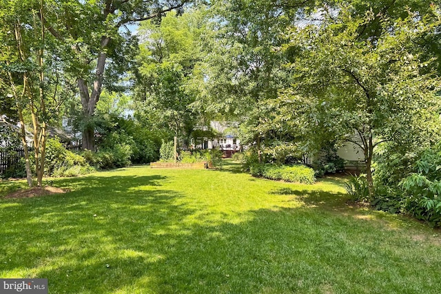 3132 Holmes Run Rd, Falls Church, VA 22042 - view of grassy yard