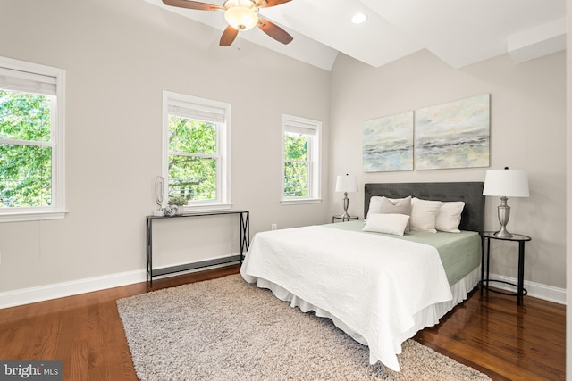 4620 4th St NW, Washington, DC 20011 - bedroom featuring wood finished floors, multiple windows, ceiling fan, and lofted ceiling