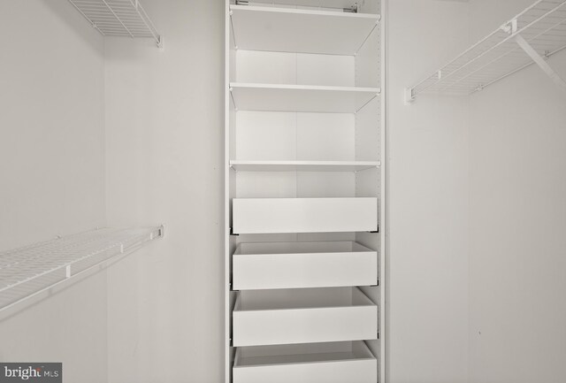 5800 Katelyn Mary Pl Unit 5800, Alexandria, VA 22310 - view of walk in closet