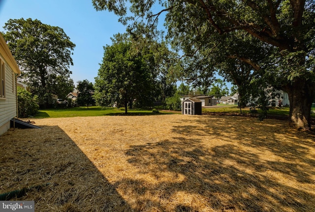 7 Flag St, Pemberton, NJ 08068 - view of grassy yard with a shed