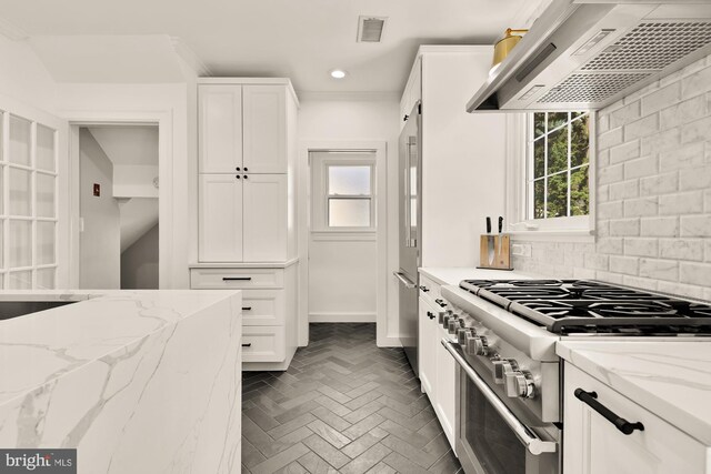 110 E Nelson Ave, Alexandria, VA 22301 - kitchen with premium appliances, ventilation hood, white cabinetry, recessed lighting, and light stone counters
