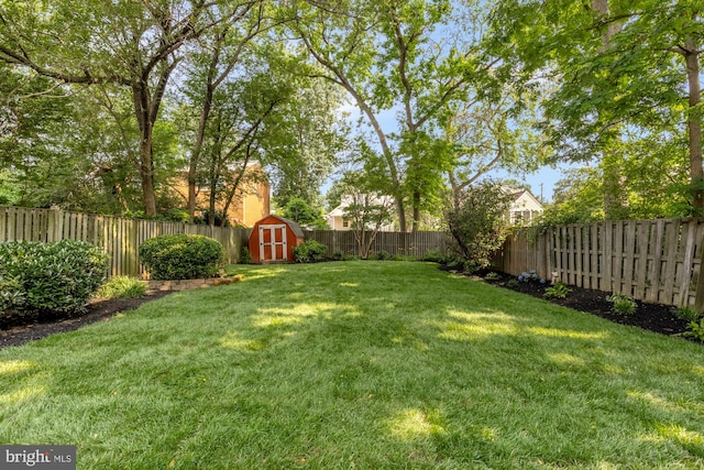 110 E Nelson Ave, Alexandria, VA 22301 - fenced backyard with a storage unit