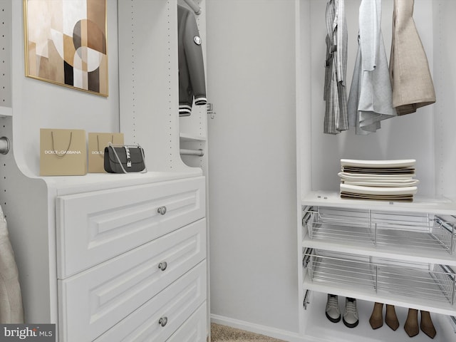 11750 Old Georgetown Unit 2524, Rockville, MD 20852 - view of spacious closet
