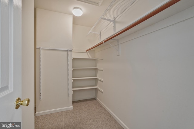 440 Clayton Ln, Alexandria, VA 22304 - spacious closet with carpet