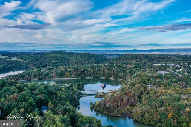10804 Glade Ct N, New Market, MD 21774 - view of property location featuring a large body of water and property parcel outlined