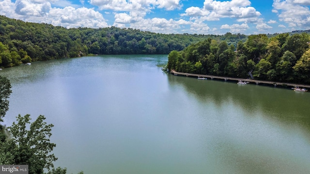 10804 Glade Ct N, New Market, MD 21774 - water view featuring a heavily wooded area