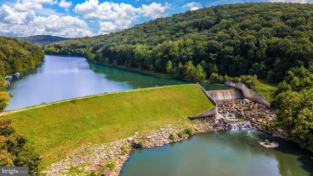 10804 Glade Ct N, New Market, MD 21774 - aerial view of a forest and a nearby body of water