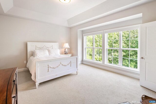 312 Avondale Ln, Crozet, VA 22932 - bedroom with a tray ceiling and light carpet