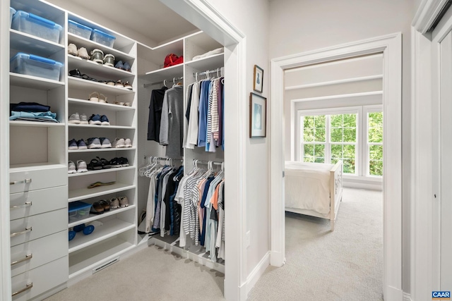 312 Avondale Ln, Crozet, VA 22932 - walk in closet with carpet floors