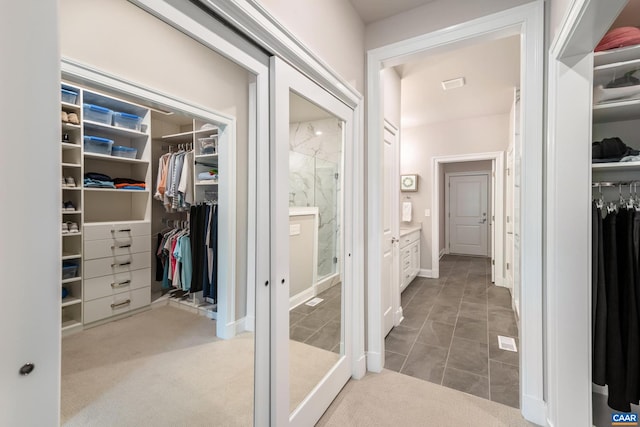 312 Avondale Ln, Crozet, VA 22932 - view of walk in closet