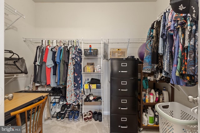 12921 Centre Park Cir Unit 102, Herndon, VA 20171 - view of spacious closet
