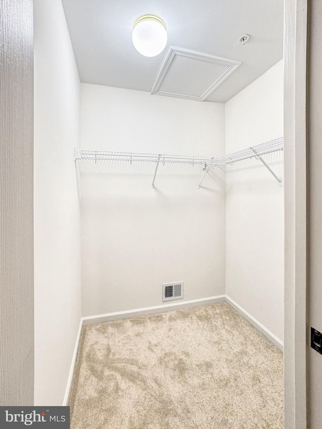 215 Westlake Blvd, Prince Frederick, MD 20678 - spacious closet with carpet floors