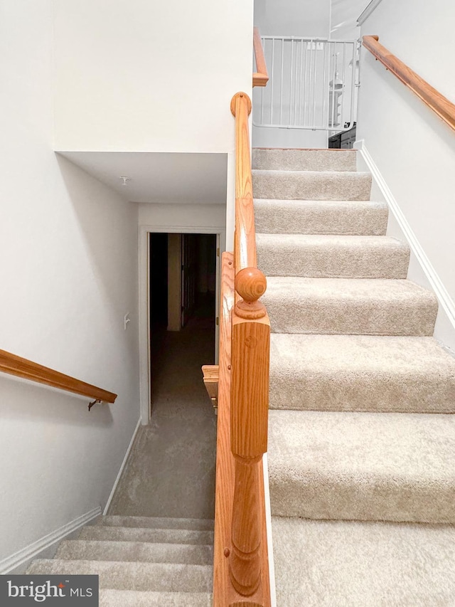 215 Westlake Blvd, Prince Frederick, MD 20678 - stairway with baseboards and carpet floors
