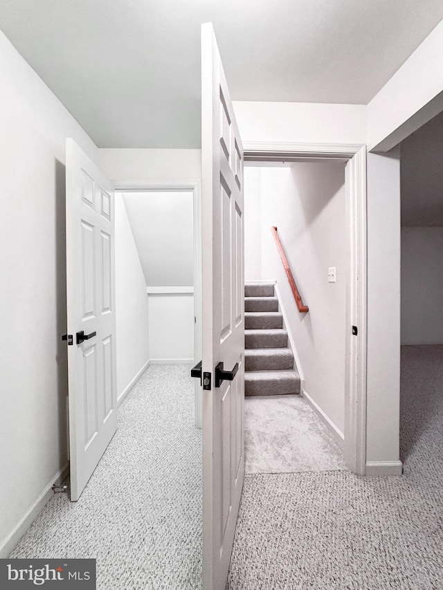 215 Westlake Blvd, Prince Frederick, MD 20678 - stairs featuring carpet and baseboards